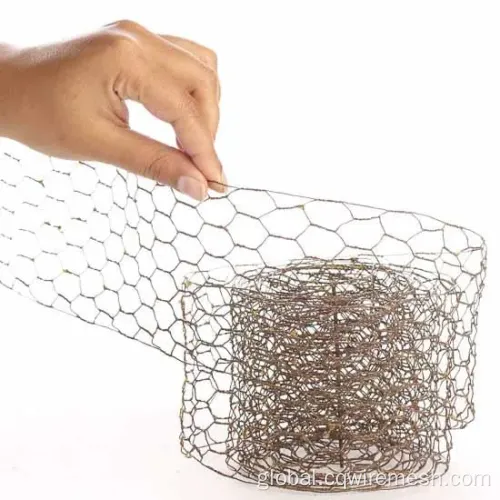 Chicken Wire Netting Galvanized Chicken Wire meshs Supplier
